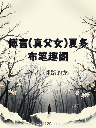 傅言(真父女)夏多布笔趣阁