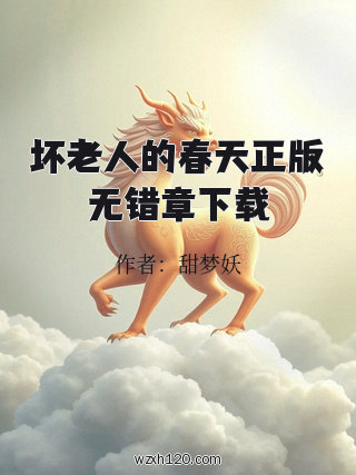 坏老人的春天正版无错章下载