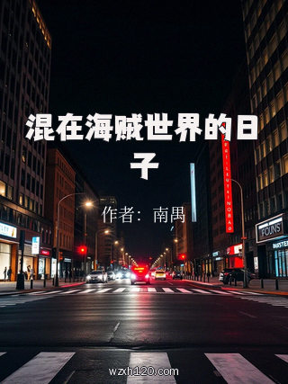 混在海贼世界的日子