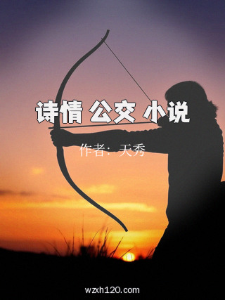 诗情 公交 小说