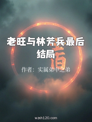 老旺与林芳兵最后结局