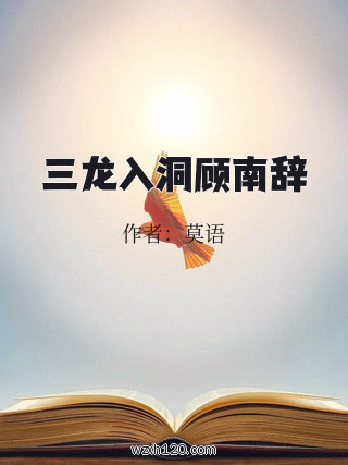 三龙入洞顾南辞