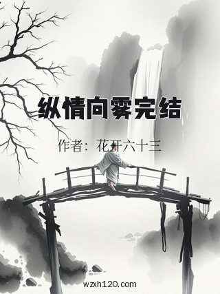 纵情向雾完结