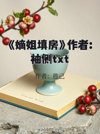 《嫡姐填房》作者:袖侧txt