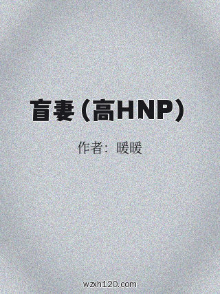 盲妻(高HNP)