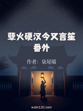 孽火硬汉今又言笙番外