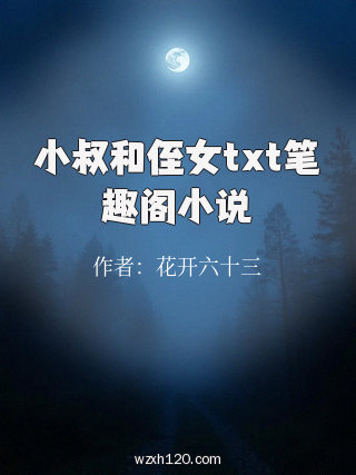 小叔和侄女txt笔趣阁小说