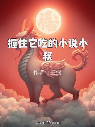 握住它吃的小说小叔