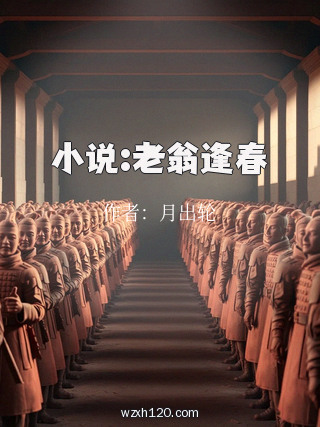 小说:老翁逢春