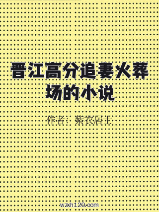 晋江高分追妻火葬场的小说