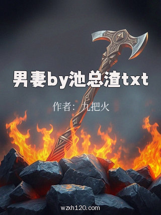 男妻by池总渣txt