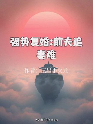 强势复婚:前夫追妻难