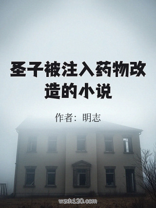 圣子被注入药物改造的小说