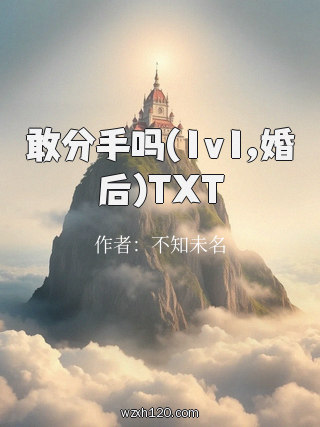 敢分手吗(1v1,婚后)TXT