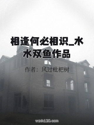 相逢何必相识_水水双鱼作品