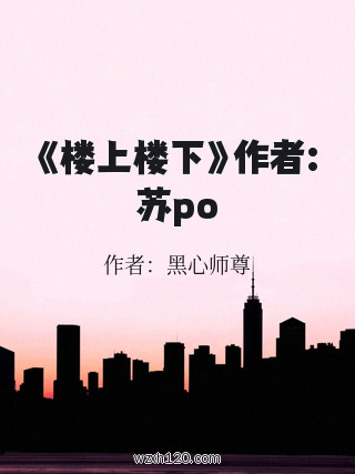 《楼上楼下》作者:苏po