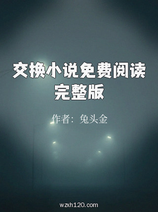 交换小说免费阅读完整版