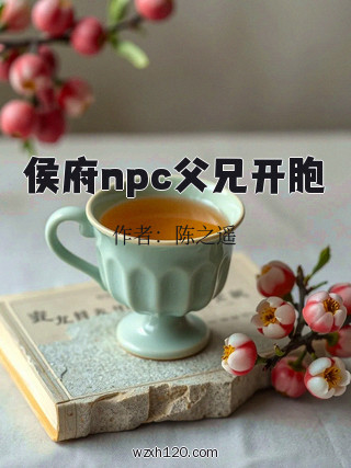 侯府npc父兄开胞