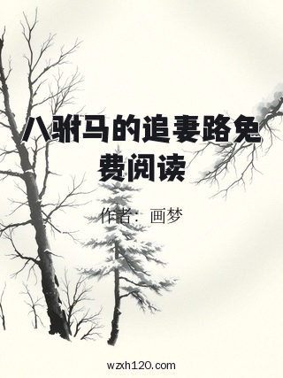 八驸马的追妻路免费阅读
