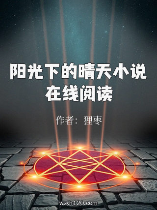 阳光下的晴天小说在线阅读