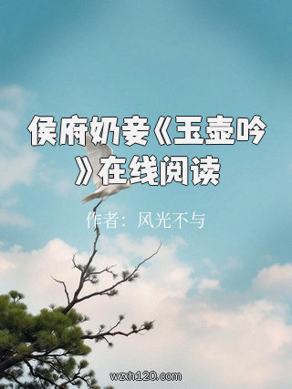 侯府奶妾《玉壶吟》在线阅读