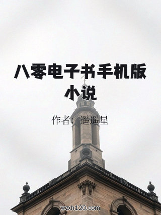 八零电子书手机版小说