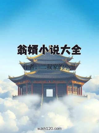 翁婿小说大全