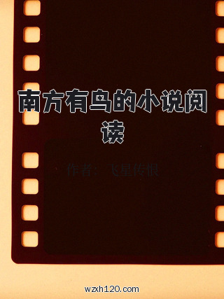 南方有鸟的小说阅读