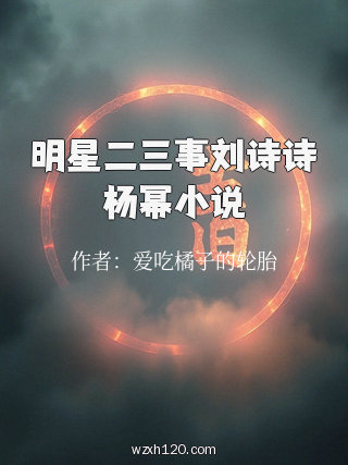 明星二三事刘诗诗杨幂小说