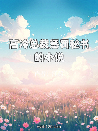 高冷总裁惩罚秘书的小说