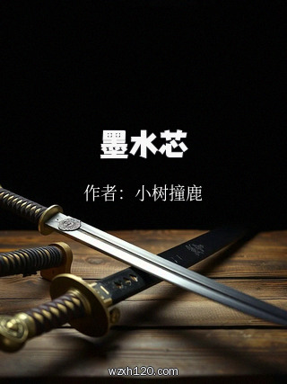 墨水芯