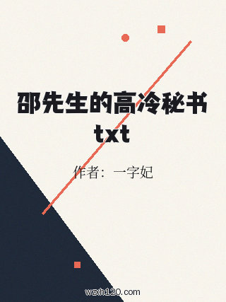 邵先生的高冷秘书txt