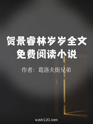 贺景睿林岁岁全文免费阅读小说