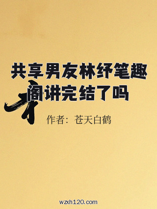 共享男友林纾笔趣阁讲完结了吗