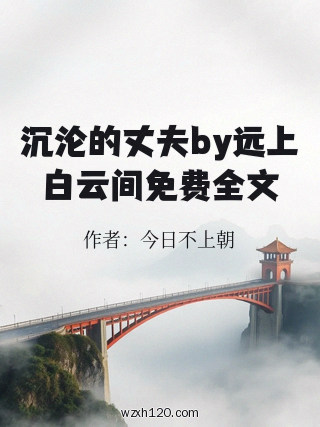 沉沦的丈夫by远上白云间免费全文