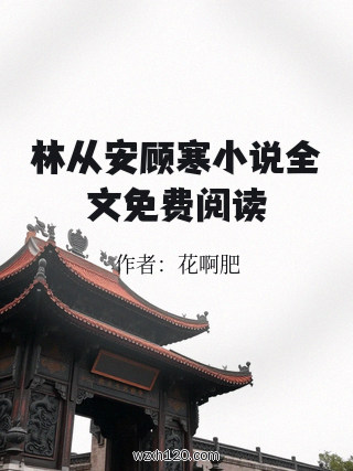 林从安顾寒小说全文免费阅读