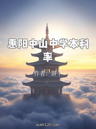 惠阳中山中学本科率