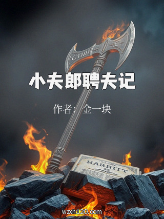 小夫郎聘夫记
