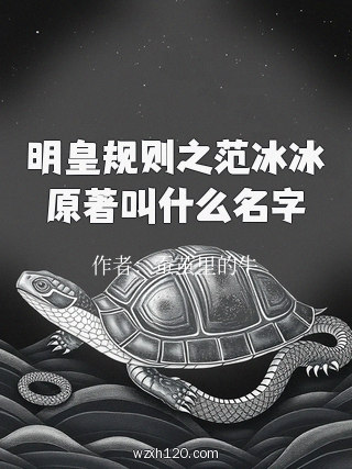 明皇规则之范冰冰原著叫什么名字