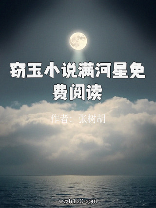 窃玉小说满河星免费阅读