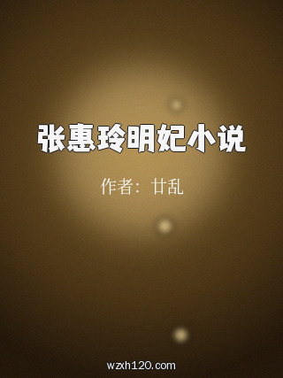 张惠玲明妃小说