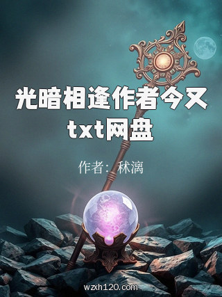 光暗相逢作者今又txt网盘