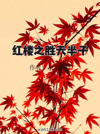 红楼之胜天半子