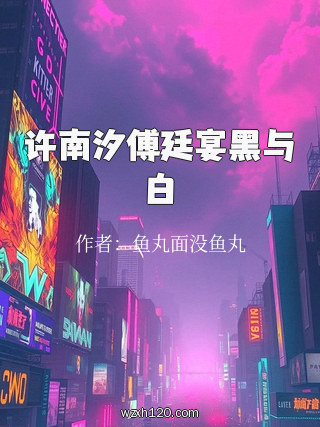 许南汐傅廷宴黑与白