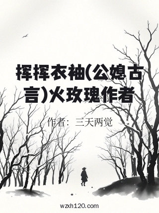 挥挥衣袖(公媳古言)火玫瑰作者