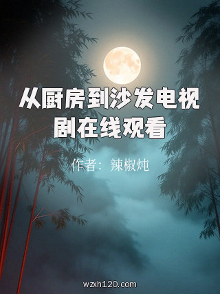 从厨房到沙发电视剧在线观看