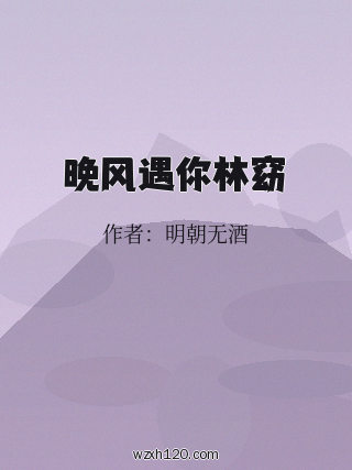 晚风遇你林窈