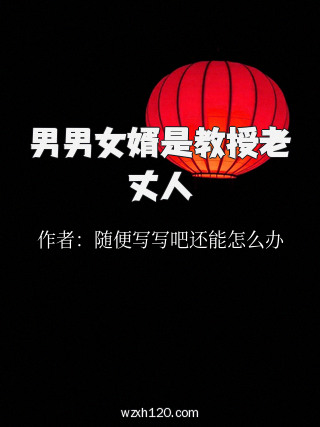 男男女婿是教授老丈人
