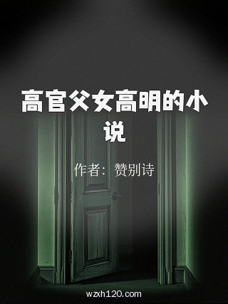 高官父女高明的小说