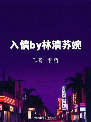 入情by林清苏婉